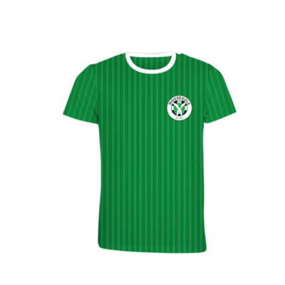 Mens Shadow Stripe T Shirt Green