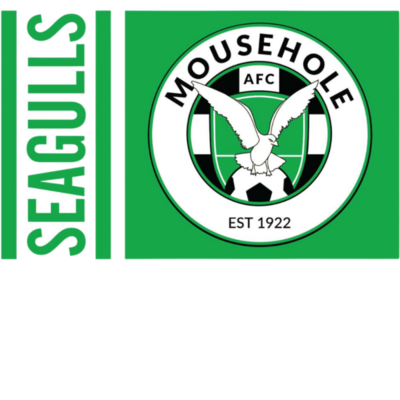 Seagulls Flag