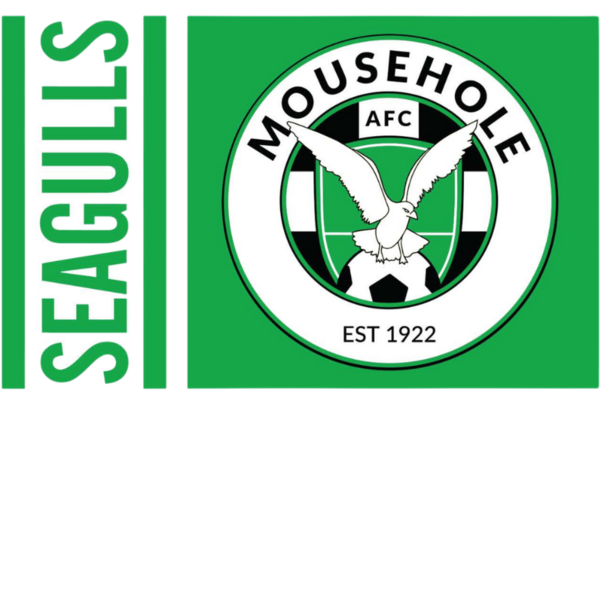 Seagulls Flag